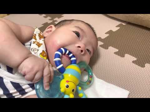 赤ちゃん　おもちゃあむあむ6【カミカミみつばち】