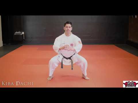 10 Shotokan Karate Stances by Sensei Anderson