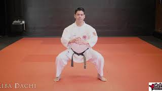 10 Shotokan Karate Stances by Sensei Anderson Net Worth