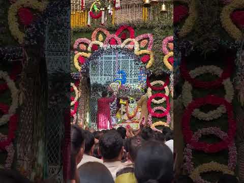 mere haatho mein fuloon ka gajra hain krishna bhajan #krishnabhajan #krishna #vrindavan #premanandji
