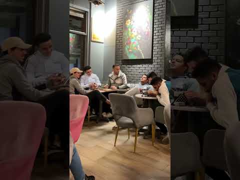 قطة في الكافية