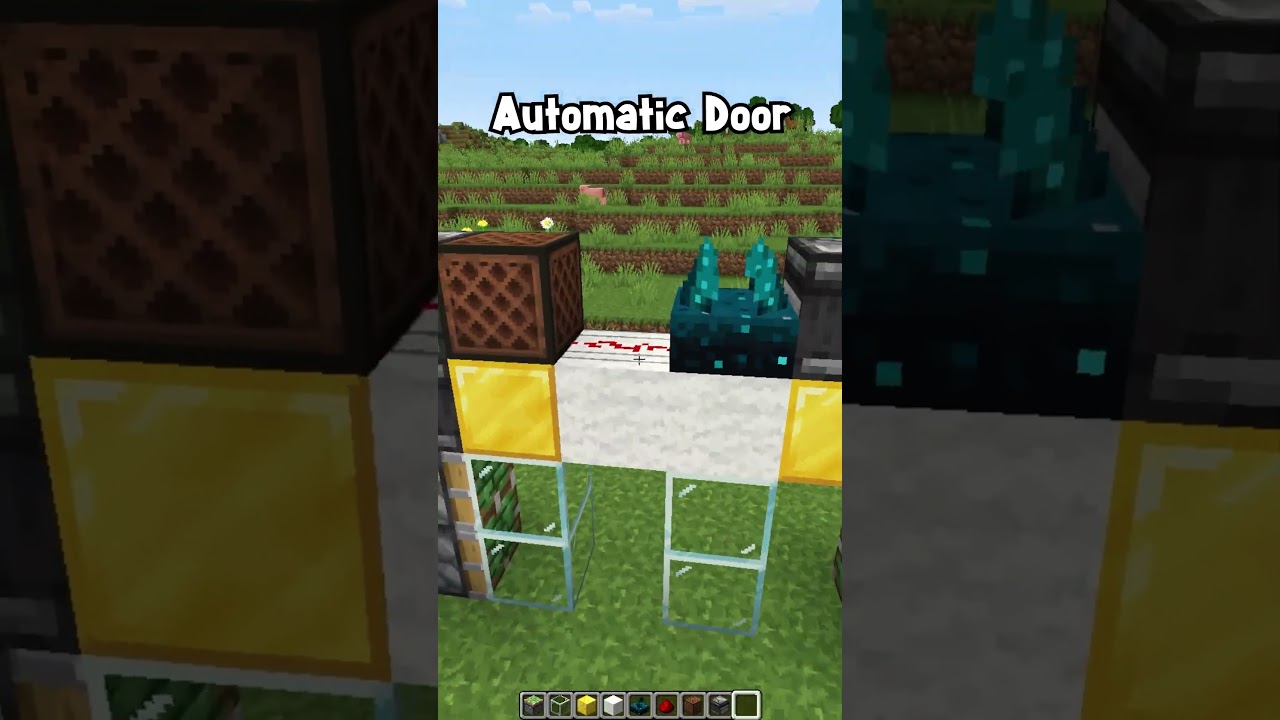 Minecraft Automatic Door