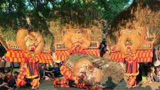 Merindingbarongan Reog Ponorogo Terbesar Gegerkan Punden Bersih Desa Glonggong Jalas Dolopo Madiun