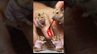 HAMSTERS JOB🥰#shorts