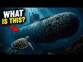 GoPro Turtle Discovers a Lost Submarine in the Deep Ocean#shorts