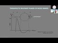 Introduction to Modern Shock Wave Therapy third session   EMS Pain Therapy