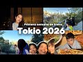 Japón 🇯🇵 Mis sobrinos llegaron de Perú🇵🇪