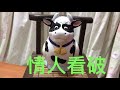 情人看破 情人看破