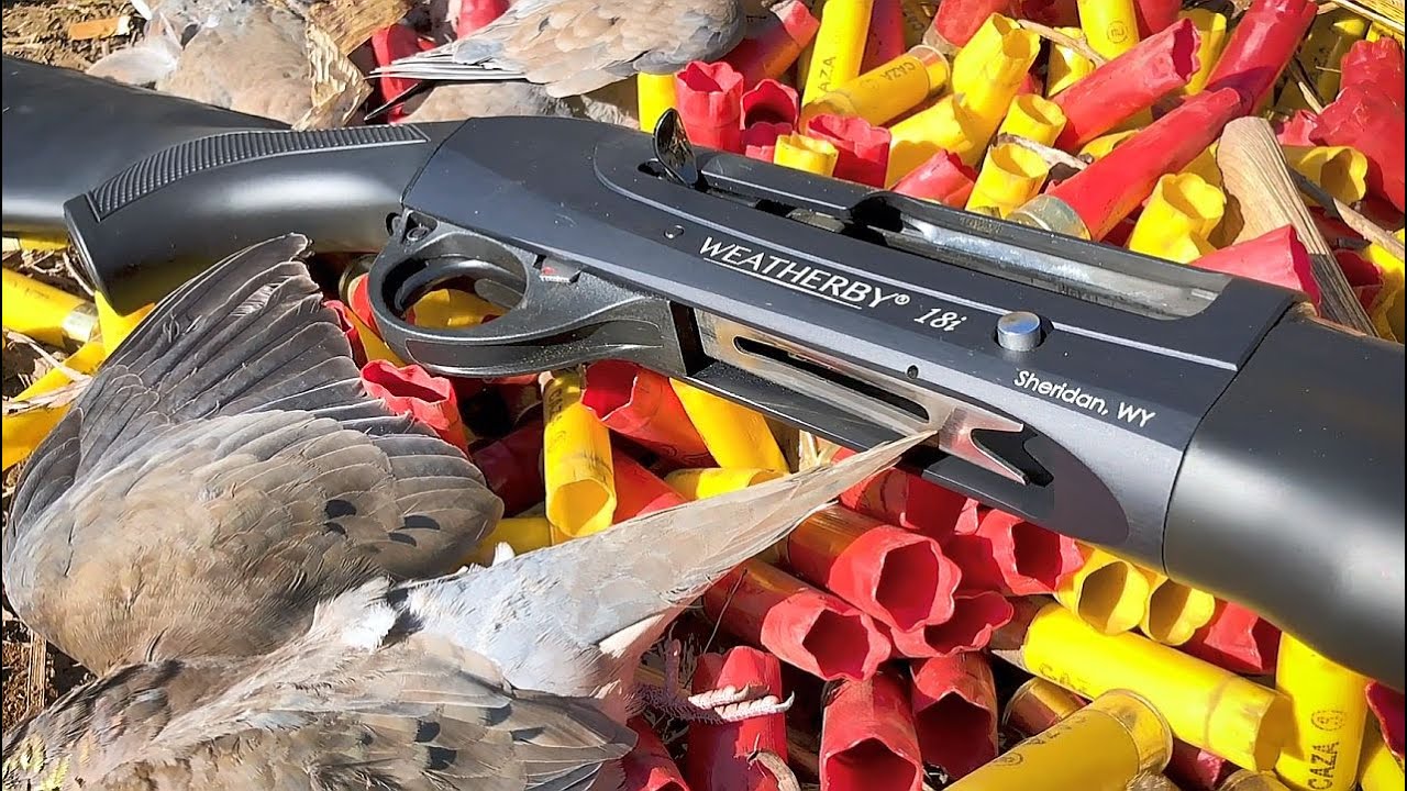 Amazing Argentina Dove Hunt | Gun Talk