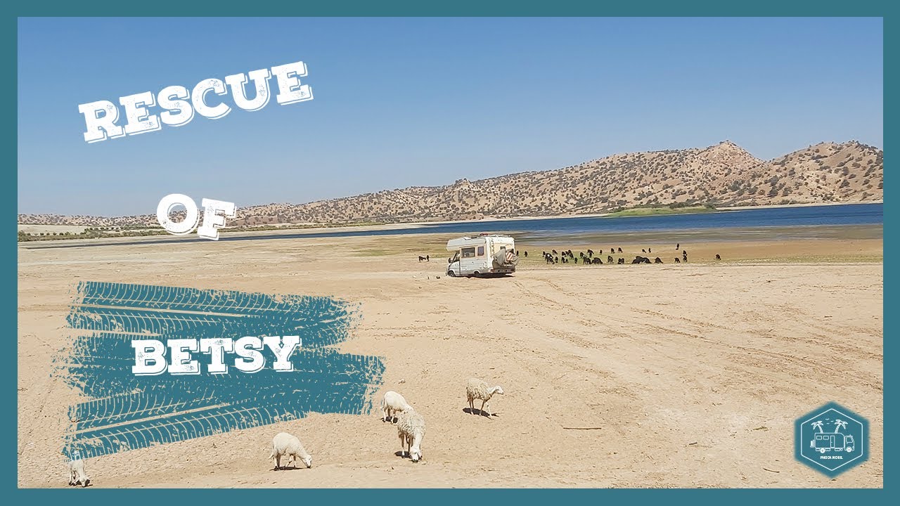 Rescue of Betsy on the road.