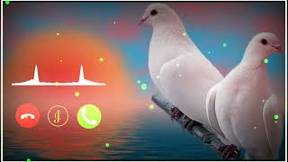 New instrumental ringtone 2021    best Ringtone   flute music Ringtones mp3(KM ABDULLAH EFTY @) screenshot 5