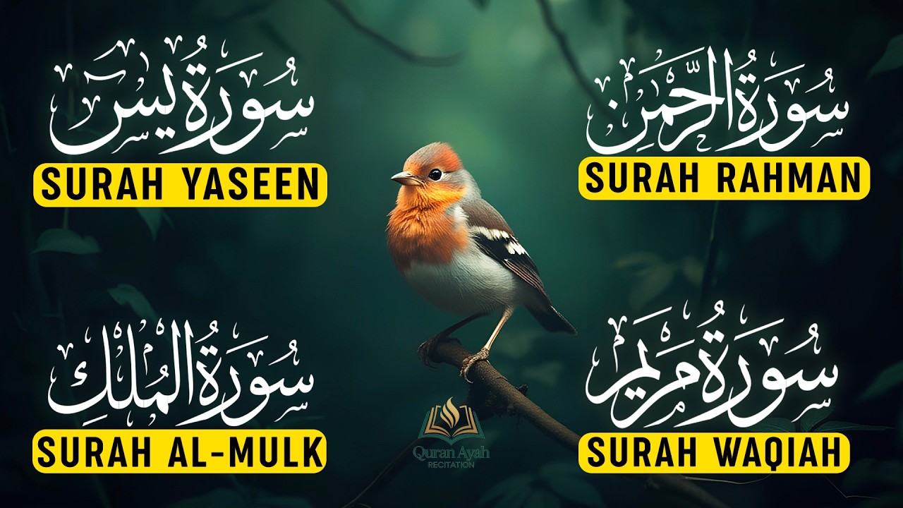 Heart-Touching Quran, Surah Yaseen, Surah Rahman, Surah Waqiah, Surah Mulk by Alaa Aqel - EP-61