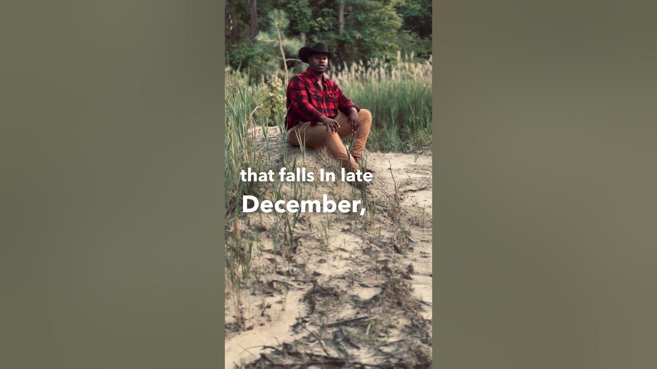 My love is deeper than the holler youtube