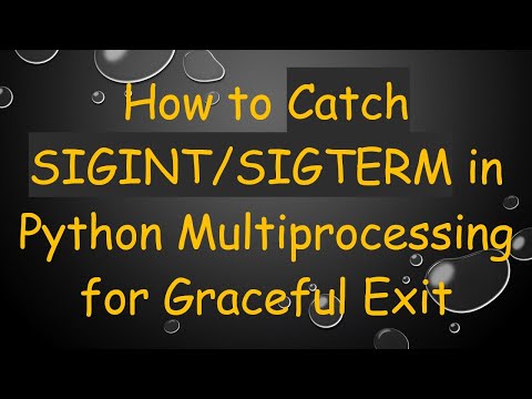 How to Catch SIGINT/SIGTERM in Python Multiprocessing for Graceful Exit