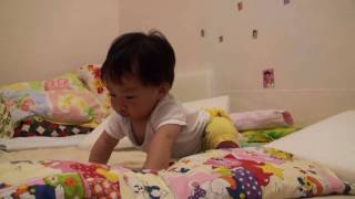 20090815.荳荳種芋頭