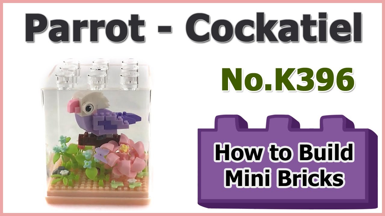 鳥かごDIY How to Build Mini Blocks Parrot - Cockatiel K396 Review