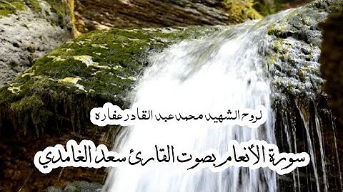 قرآن || سورة الأنعام بصوت القارئ سعد الغامدي