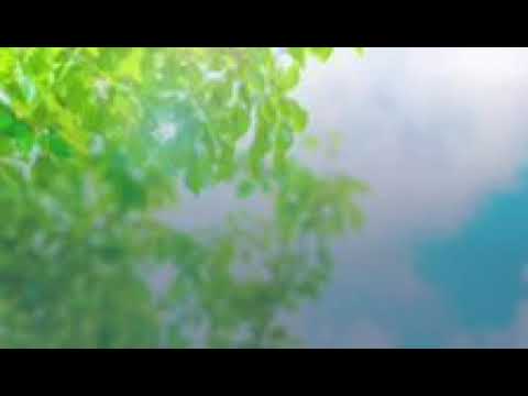 ♪だいめいなあに？♪ ⑧ sou よみきかせ