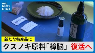 クスノキ原料の「樟脳」国内最初の創業地・日置市美山で復活へ　十五代沈壽官さん「新たな特産品に」(MBCニューズナウ 2025年4月24日放送）
