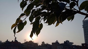 Nature view💐/ short nature click/ nature video...