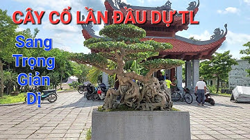 TP SANH CỔ RẤT ĐẸP lần đầu đi chơi của đơn vị Kinh Môn tham dự TL TỪ SƠN - BN .