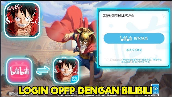 one piece - BiliBili