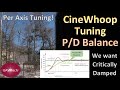 Cinewhoop Tuning - P/D Balance