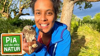 Superflieger auf der Streuobstwiese | Reportage für Kinder | Pia und die wilde N