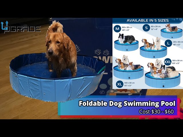 Foldable Dog Swimming Pool - YouTube