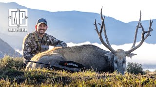 Argentina Pere David's Deer | Mark V. Peterson Hunting