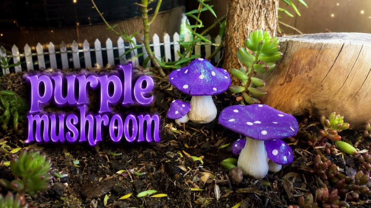 Purple mushroom - YouTube