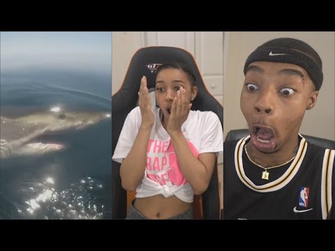 MATRIX STYLE!! 5 Horrifying Shark Encounters Caught On Camera Reaction & Rant! - MATRIX STYLE!! 5 Horrifying Shark Encounters Caught On Camera Reaction & Rant!