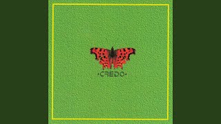 Disnejlenda - CREDO