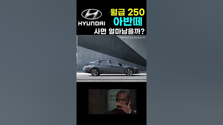 월급250 아반떼 월유지비와 고정비는 얼마?