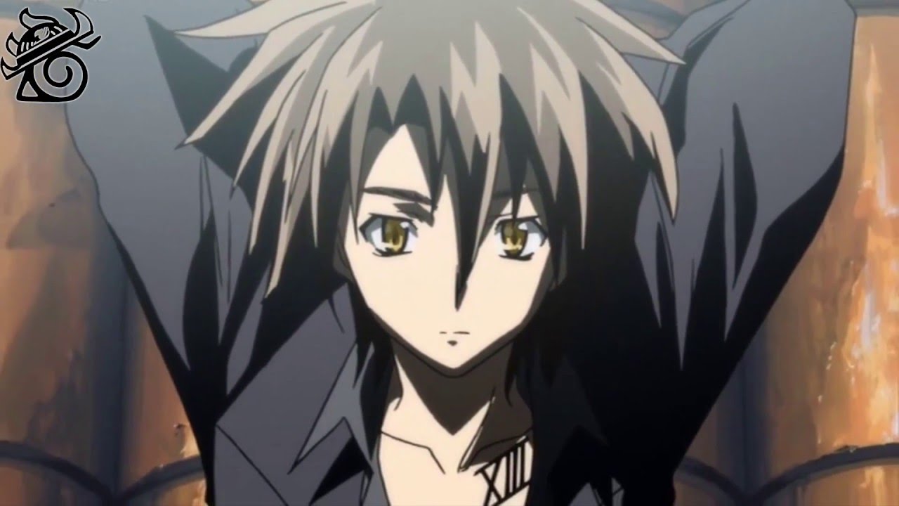Black Cat //amv// The Phoenix