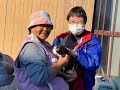 【閲覧注意】現在青島で起きている事の真実です。青島猫を支援する会さんはどこかの下部組織ではありません。ストリーテラーの語る内容は全てが真実とは限りません。何を信じるのかはあなた次第です。#79
