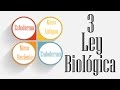 Las 5 leyes biológicas / Tercera ley biológica