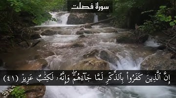 سورة فصلت 481 page {القارئ اسلام صبحي}
