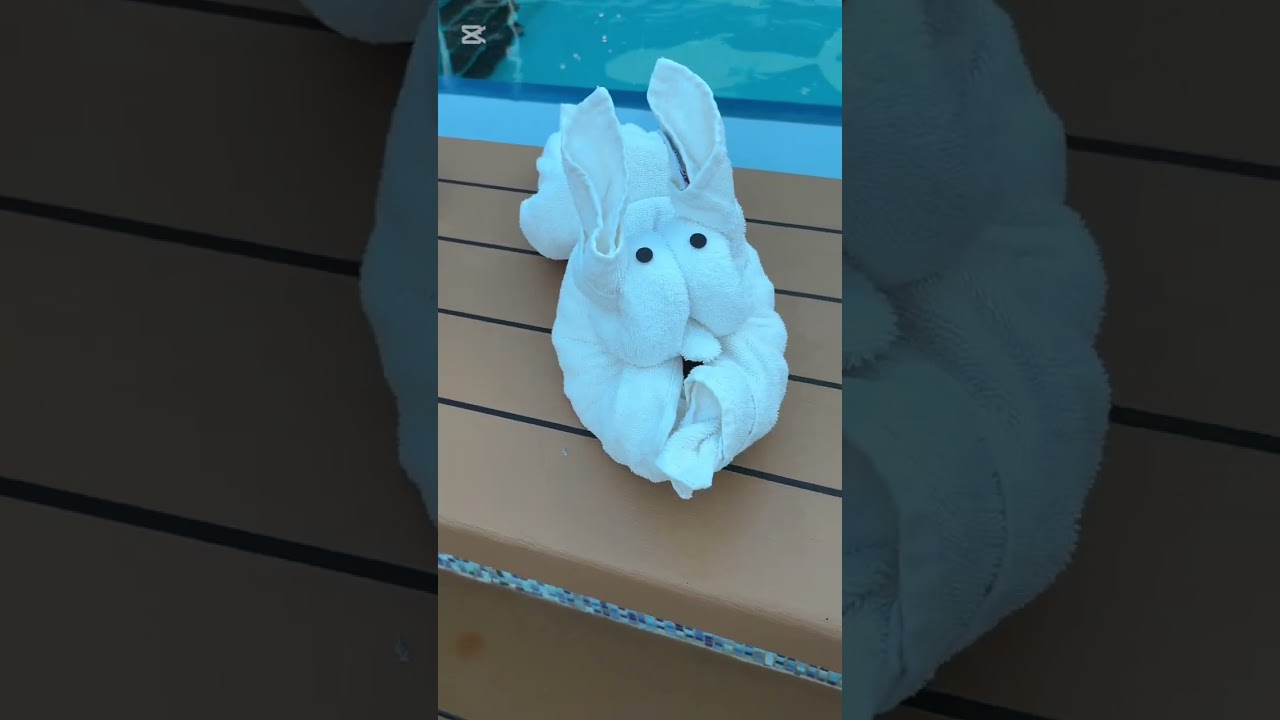 Towel animals in Carnival Splendor #cruiseship #cruisetour #cruise #towelanimals #carnivalsplendor