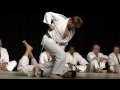 Jujitsu  gala des arts martiaux daucamville