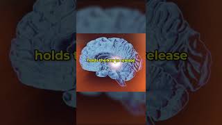 PINEAL GLAND: A pleasure greater than anything you’ve known 🤯