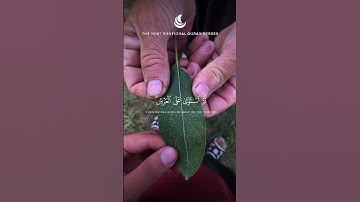 “جمال التلاوة يلامس القلب… تلاوة خاشعة من سورة السجدة آية ٤ 🌙✨” #قرآن #اسلام #محمد