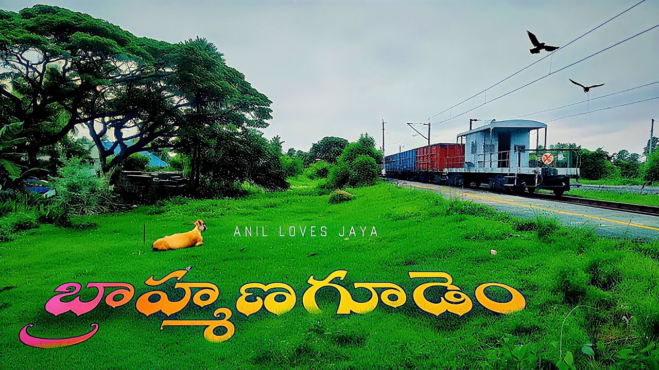 Brahmanagudem Village