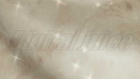 Digital Juice Volume 4 Wedding - Star For the Day