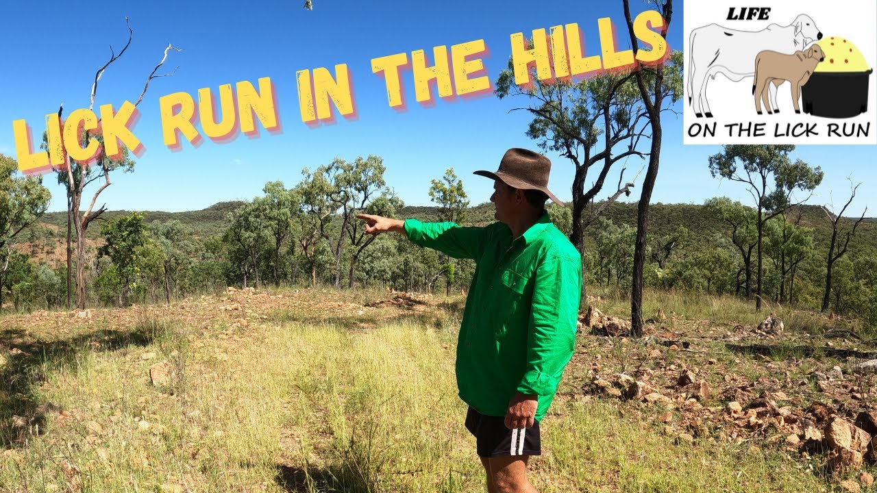 Lick Run In The Hills