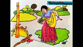 || The Loyal Mongoose || Story Telling || Panchatantra Tales ||
