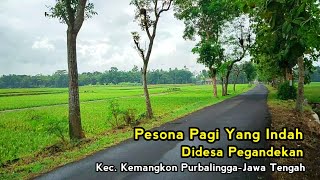 Begitu Indah Suasana Pagi Hari Di Desa Pegandekan-Kemangkon Purbalingga, Jawa Tengah