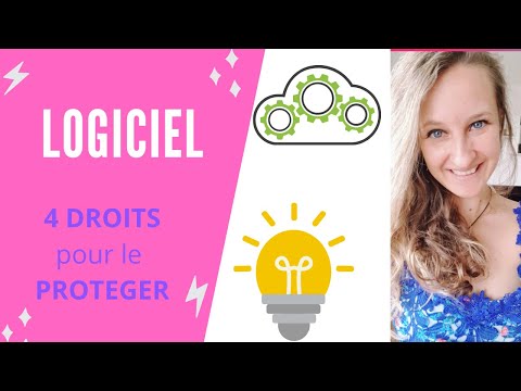 Vidéo: Comment Protéger Le Programme