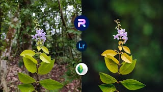 Blur Image Background | Mobile Photo Editing Tutorial | Lightroom Color Grading | PhotoRoom Edit screenshot 4