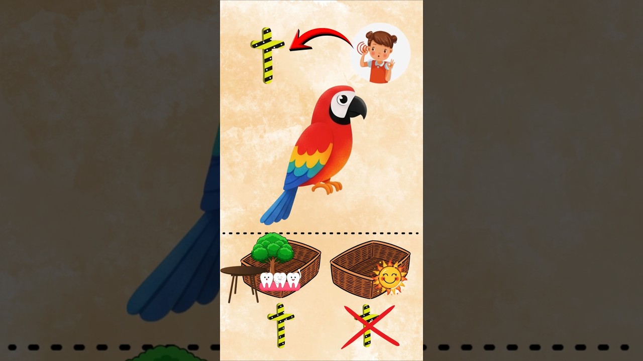 Lesson 7 - Which ones start from T? Letter T sorting game for kids 3-5